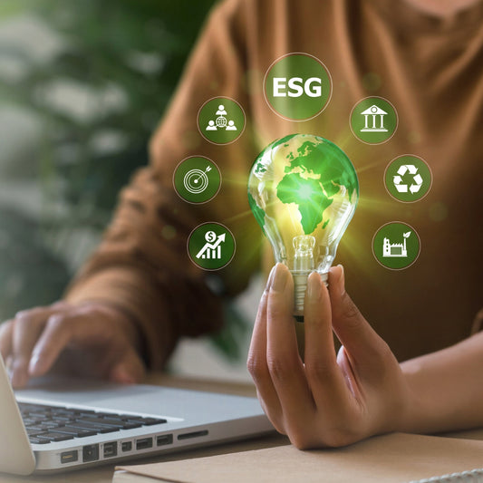 Sustainability & ESG Strategy