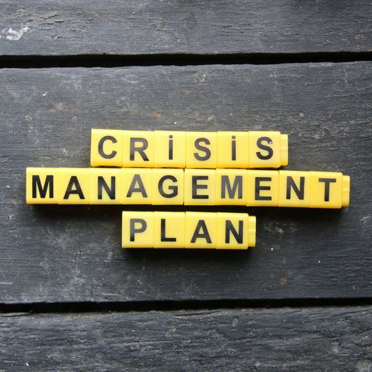 Crisis Management Consulting