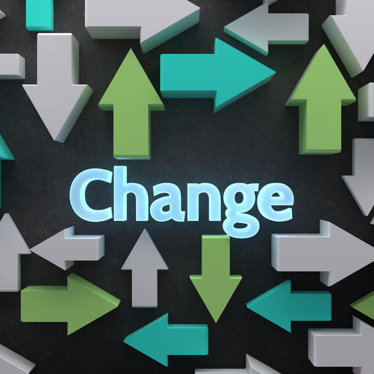 Change Management Strategy