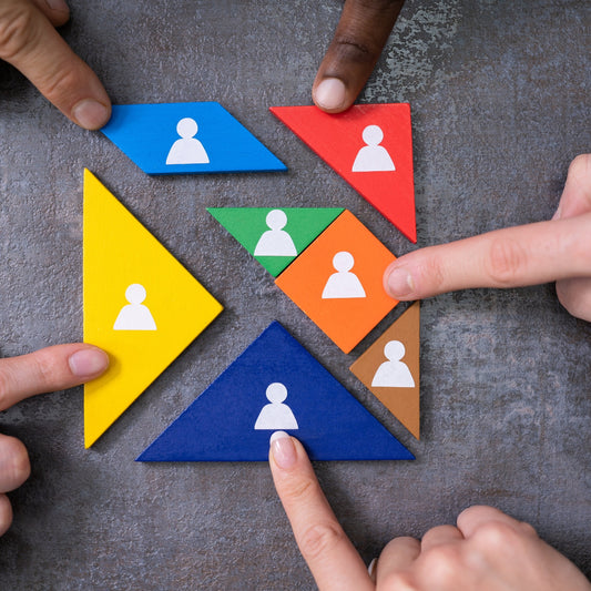 Organizational Structure Consulting